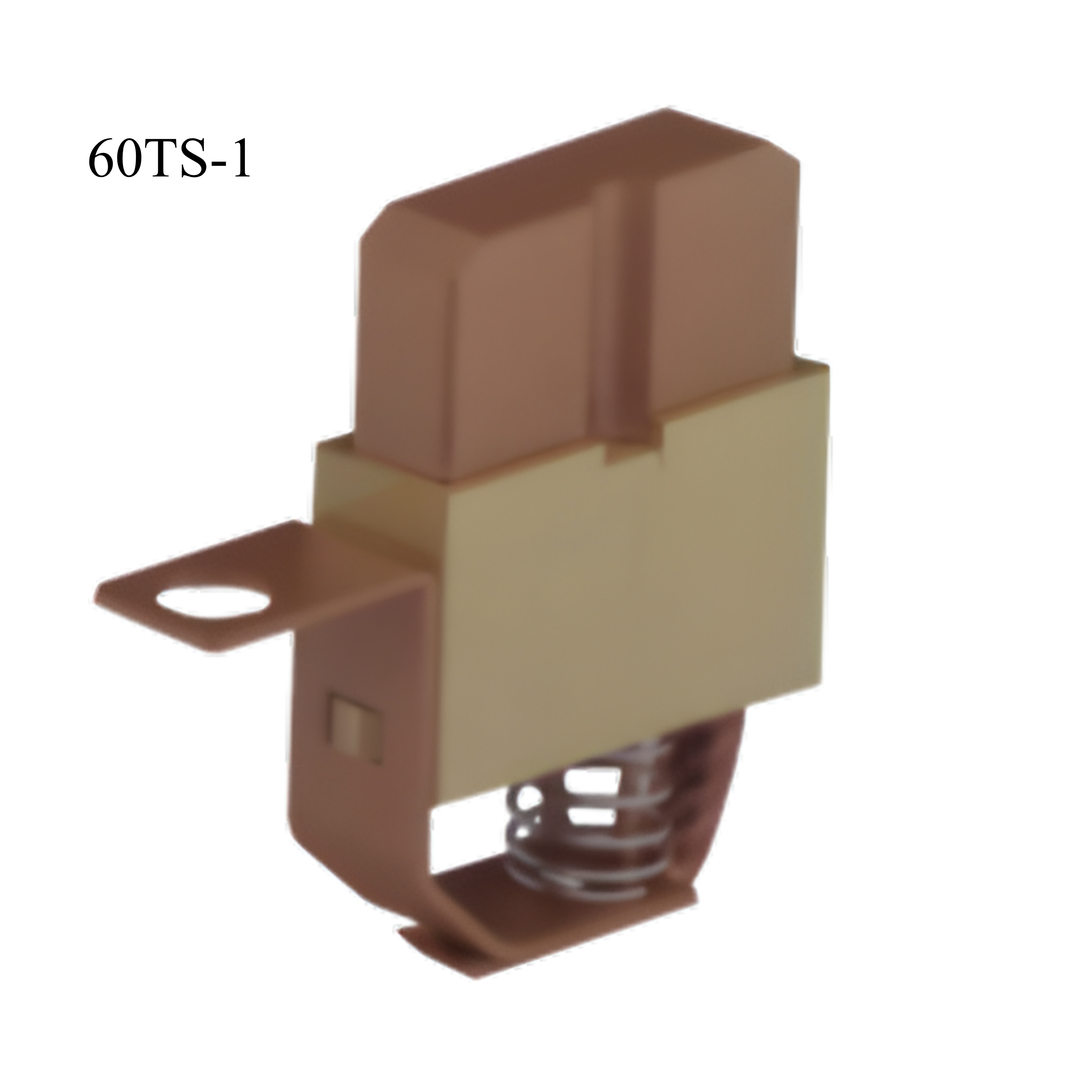 60TS-1 carbon brush